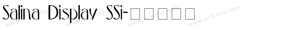 Salina Display SSi字体转换